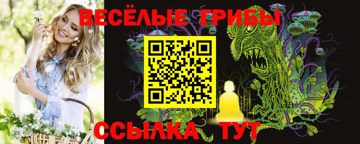 Галлюциногенные грибы Magic Shrooms  Вход с VPN  Галлюциногенные грибы Cubensis  Ковров 